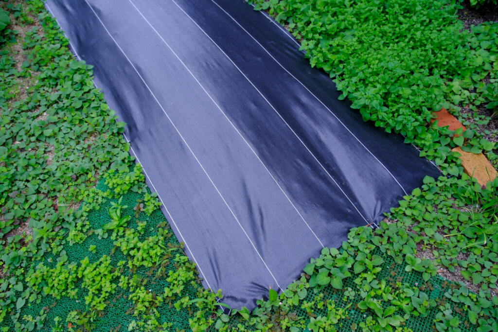 防草シートにはどんな種類がある？種類や素材別に特徴を紹介