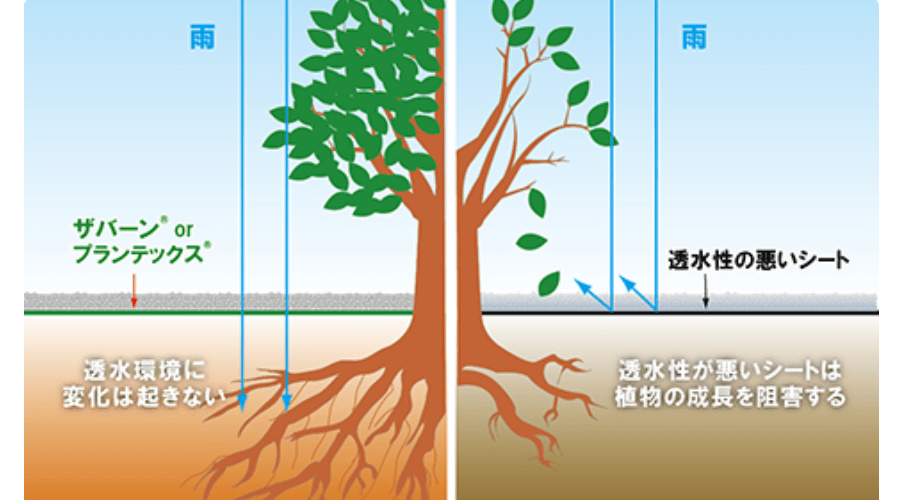 株式会社グリーンフィールド（ザバーン）の画像