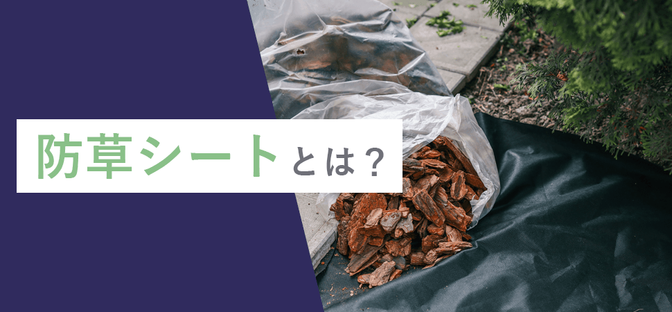 防草シートとは？の見出し画像