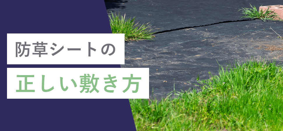 防草シートの正しい敷き方の見出し画像