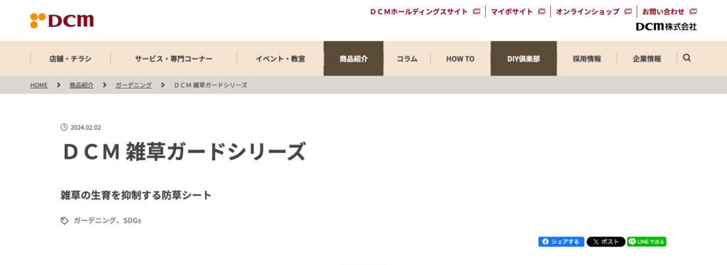 DCMの画像